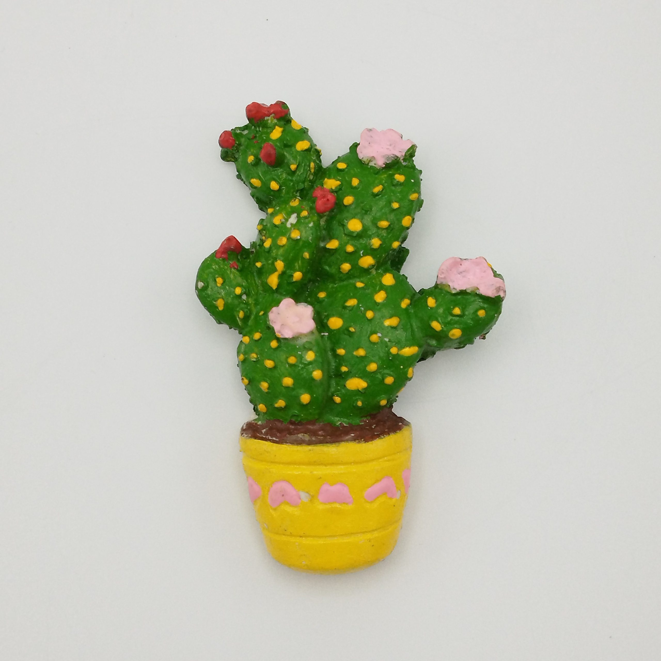 مگنت کاکتوس