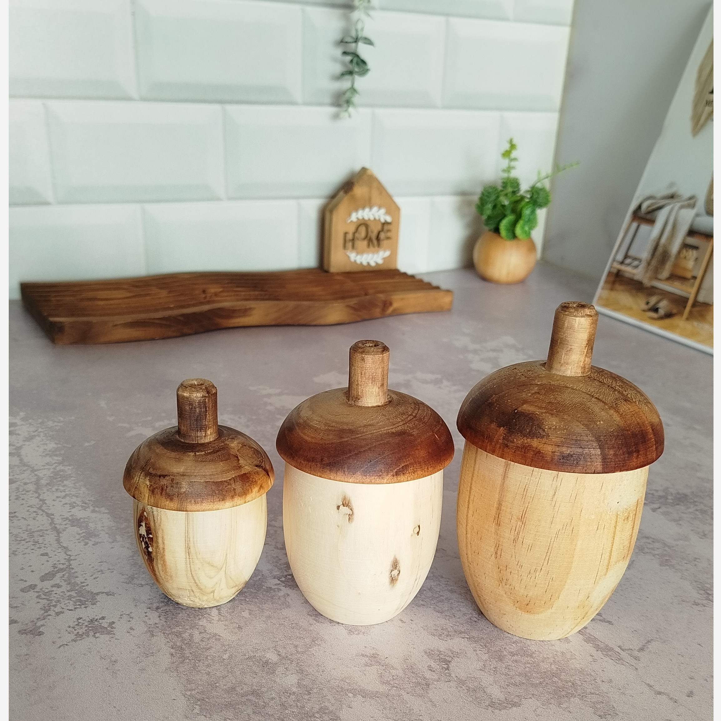 بلوط دکوری چوبی (سه عددی)